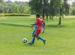 欧博,产品,ABG欧博,欧博会员登录入口,abg欧博官网,欧博abg