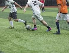 姚晨,岁子初登舞,台弹琴,欧博会员登录入口,abg欧博官网,欧博abg