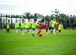 运动门类解,读与赛事项,目概览,欧博会员登录入口,abg欧博官网,欧博abg