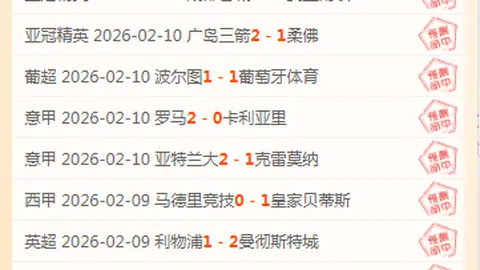 武汉长江足球俱乐部概述