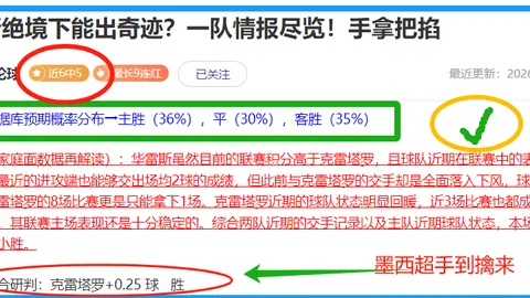 FIFA赛事加勒比岛国对欧洲微型国家精彩对决